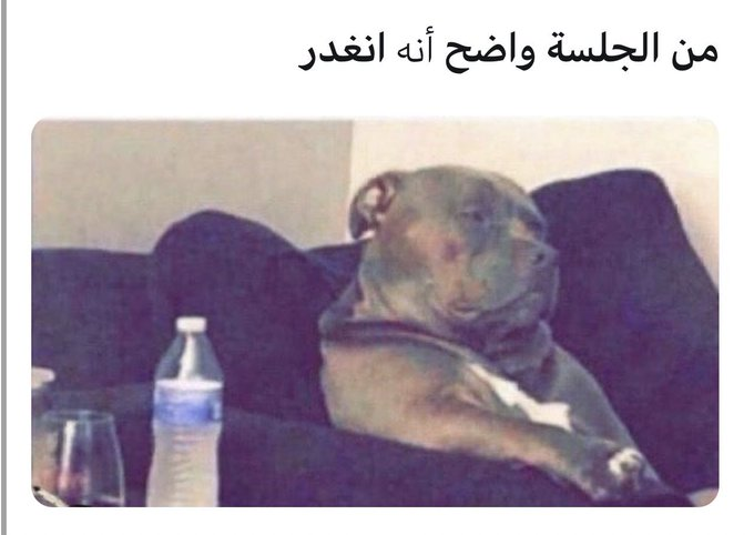 #حرق_كينقدوم 
يا عيال ترا غدر في، قلي نقاش بيكون حبي وما عليك وما يحتاج تجهز اي شي...
بعد كم سؤال بدء يحشرلي و يستقعد
وتراه غدار
وفي الحقيقة هو فانز اوسين
وايش كمان...
(خلصت الاعذار 😭)
لكن استمتعوا بالحلقة، لطيفة وجميلة وفيها كل ارأئي عن شوهيكون وامنياتي للعمل.