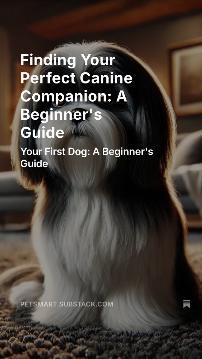 Realizando Projetos Pessoais (@realizandop) on Twitter photo 