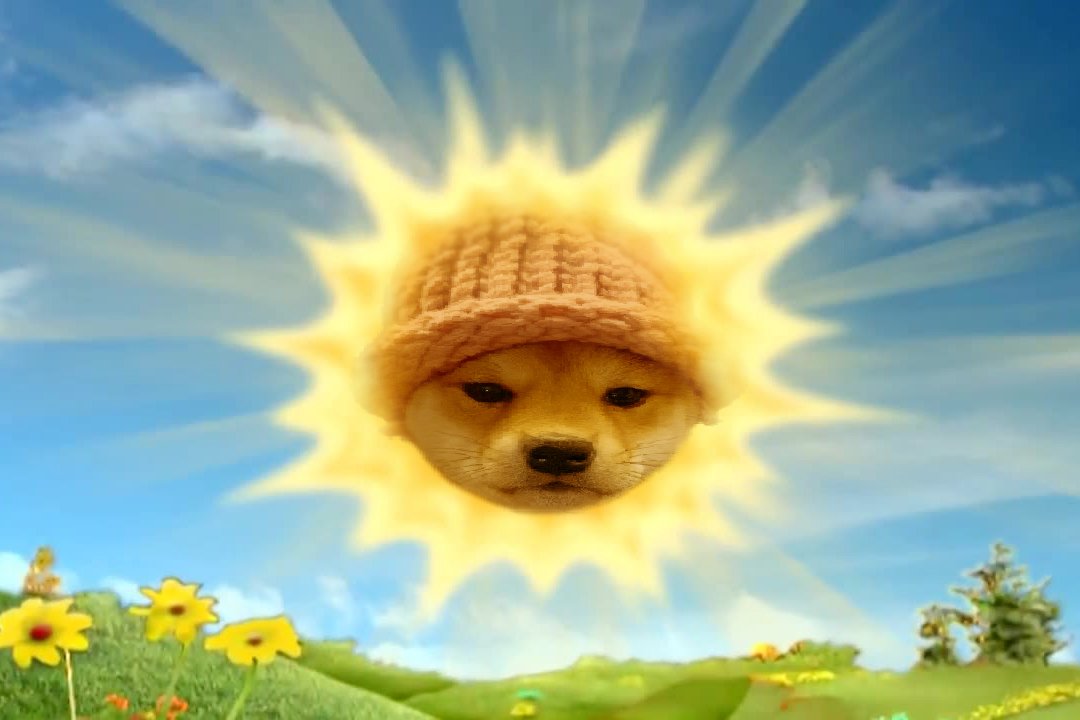 dogwifcoin tweet media