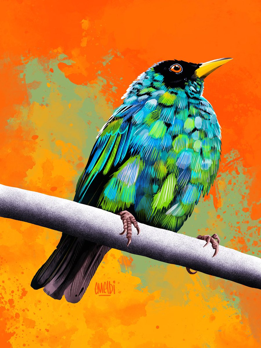 Green Honeycreeper. My image for day twenty six of #birbfest2025 #procreate #procreateartist #birdart #birbfest #greenhoneycreeper