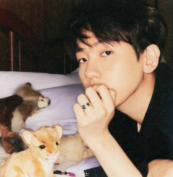 zhanjieeee's tweet photo. @soocutecart https://t.co/Y2sbnoTj76