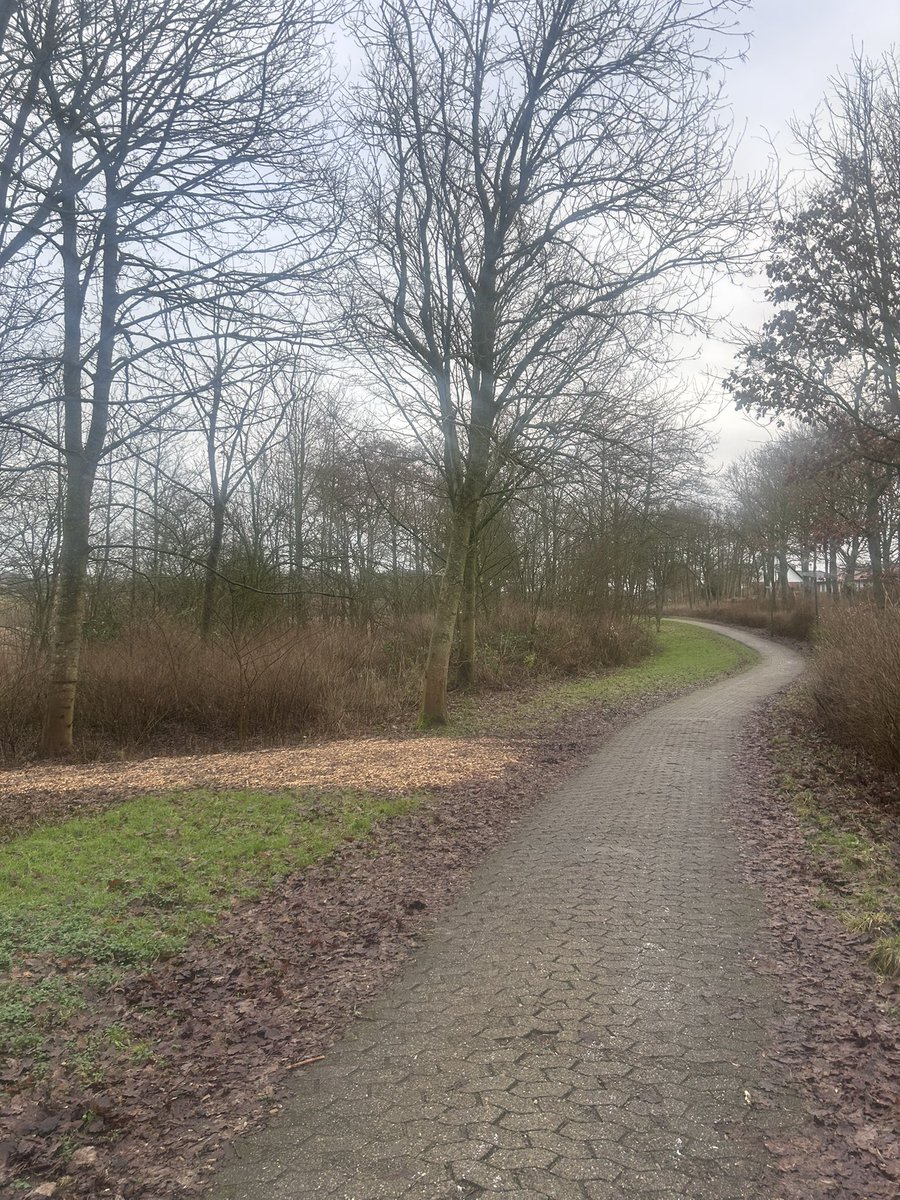 Skøn tur i dag. Benene var gode og bare dejligt at være ude. Elsker de rolige søndagsture med podcast i ørerne.
#twrundk