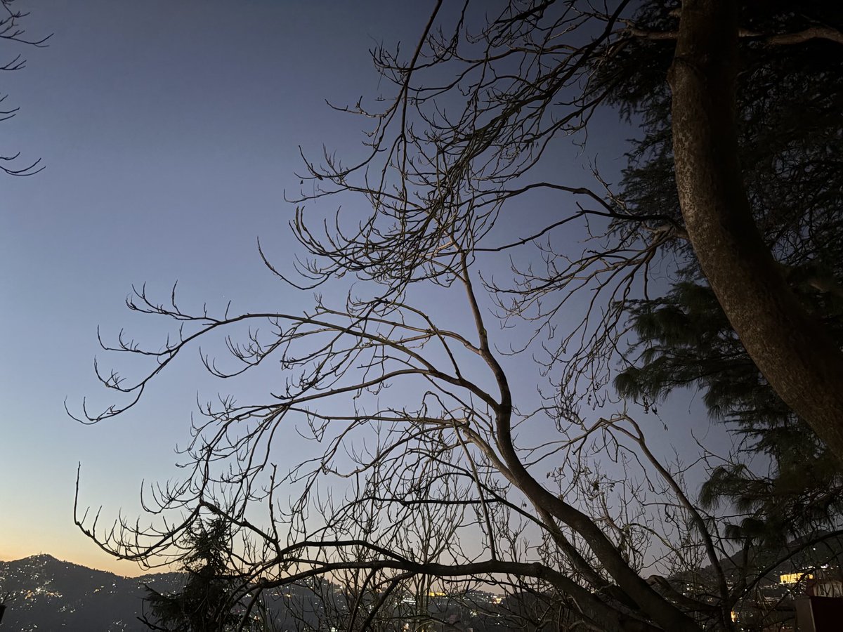 Evening lights <a href="/Shimla/">Shimla</a>