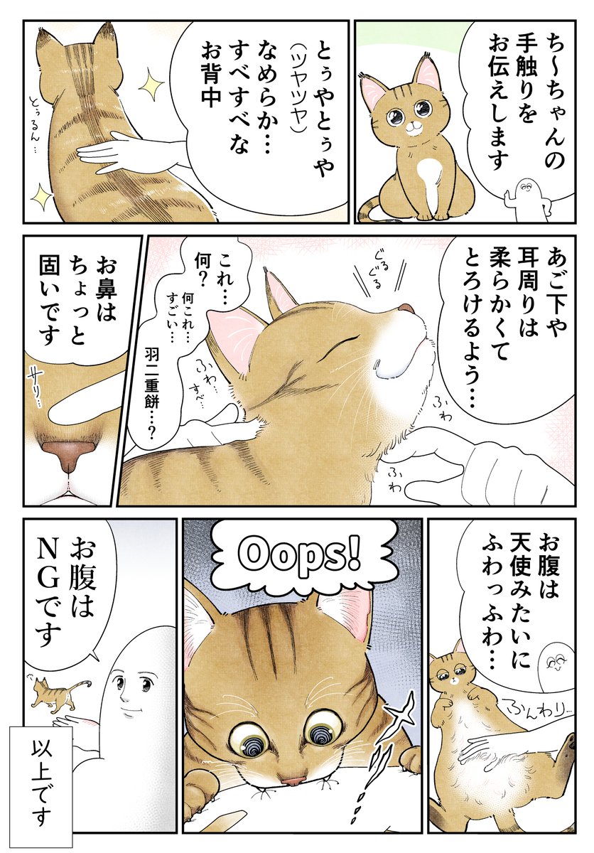 愛猫ち～ちゃんの手触り 