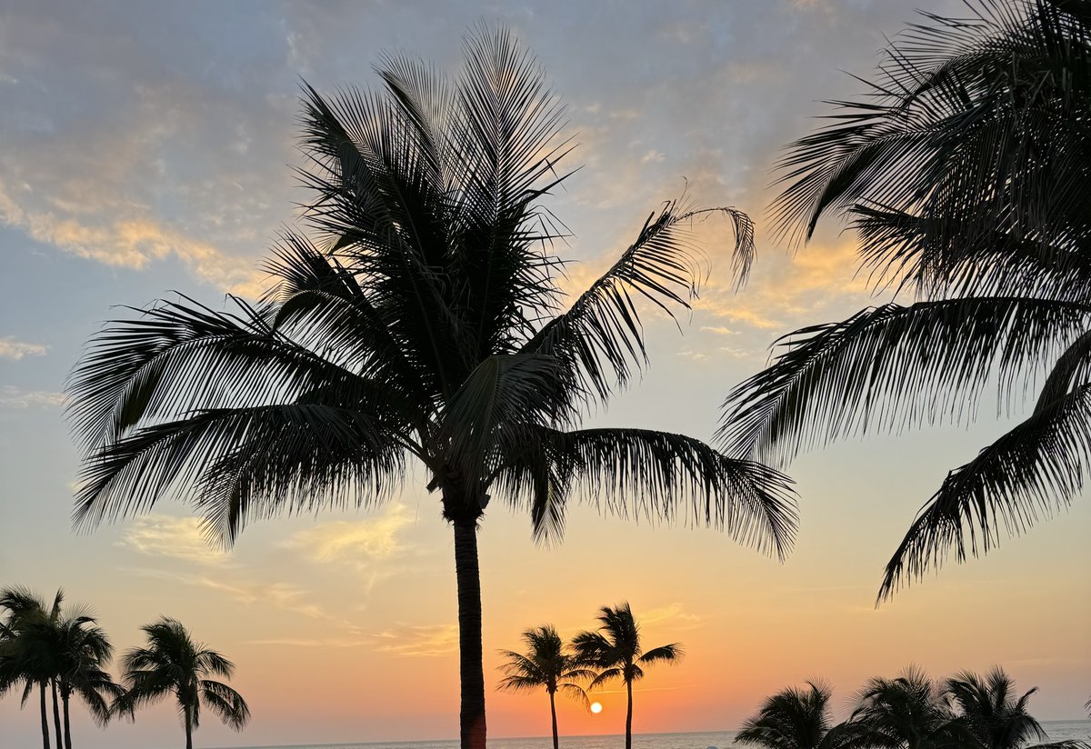 MargaritavilleResort tweet media