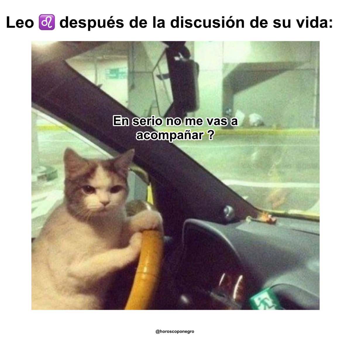 leo_hnegro's tweet photo. Enfadado pero con necesidades 🤣🤣 https://t.co/WCJtefsy4L