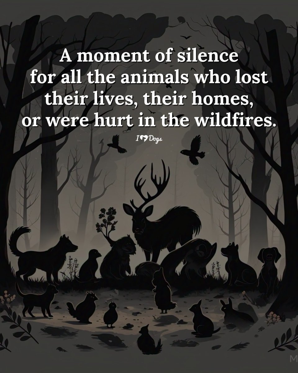 _XDogs's tweet image. 