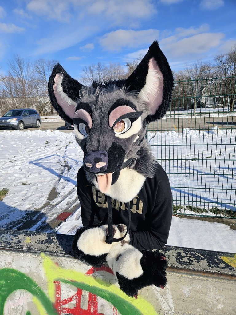 NoxxHyena's tweet photo. Can't wait for winter to be over https://t.co/r0ovlm2YZA