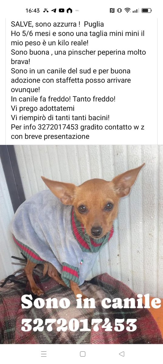 Gabriella Barghini tweet media