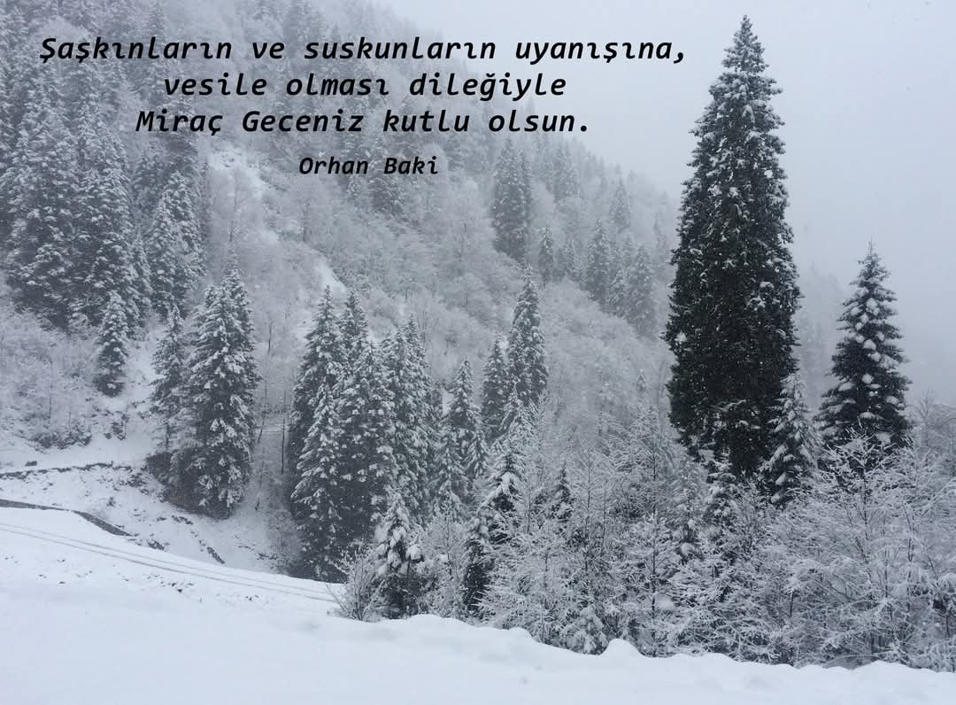 orhan baki (@orhanbaki) on Twitter photo 