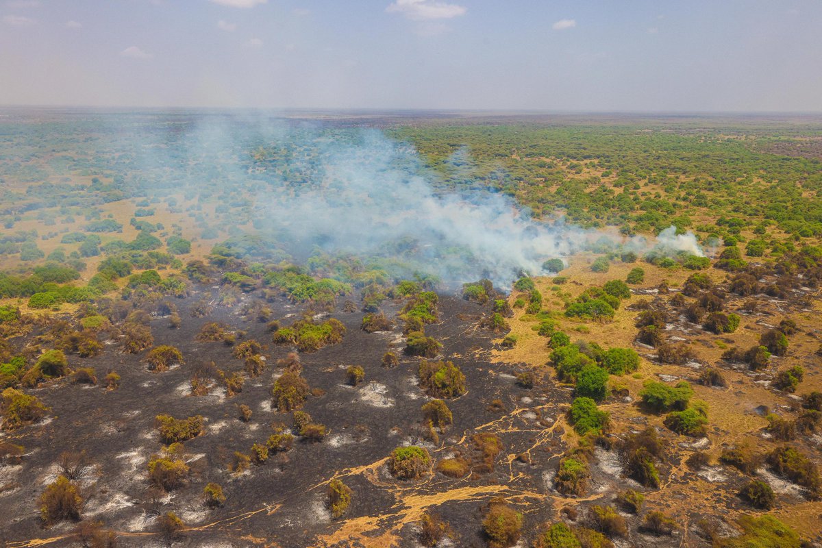 Mbuwasa's tweet photo. Isiolo wildfire rages on with trail of destruction and huge loss of grazing fields https://t.co/jg1M33ByoR