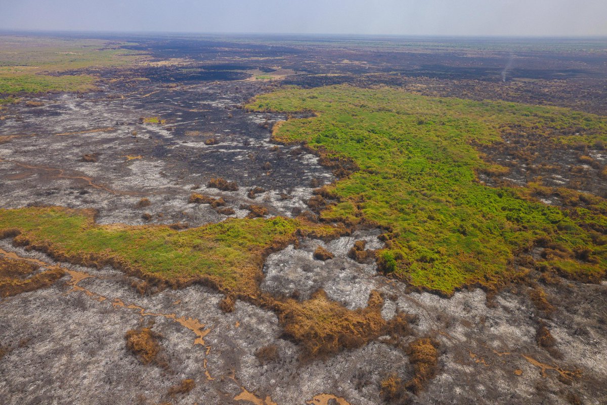 Mbuwasa's tweet photo. Isiolo wildfire rages on with trail of destruction and huge loss of grazing fields https://t.co/jg1M33ByoR