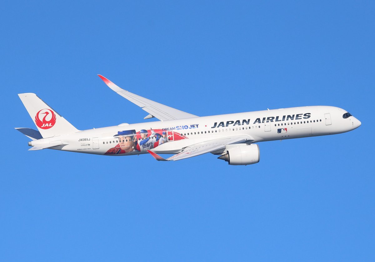 DALLYKEN's tweet image. 海から、オータニサン⚾
#海羽田 #RJTT #HND