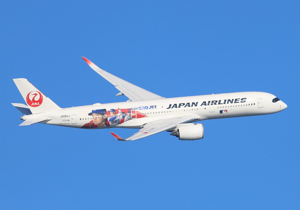 DALLYKEN's tweet image. 海から、オータニサン⚾
#海羽田 #RJTT #HND