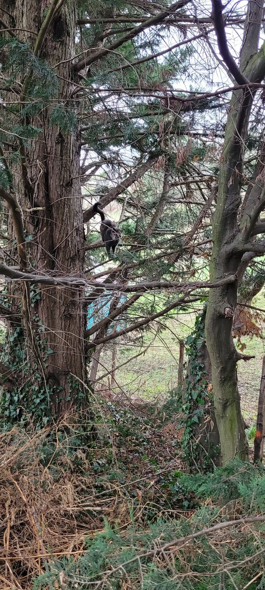 A priori maman a un bon chir ortho sous le coude en cas de pépin donc quitte à y aller...