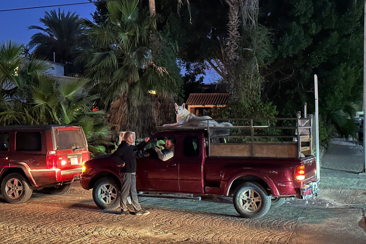 Gm from Mexico 🇲🇽