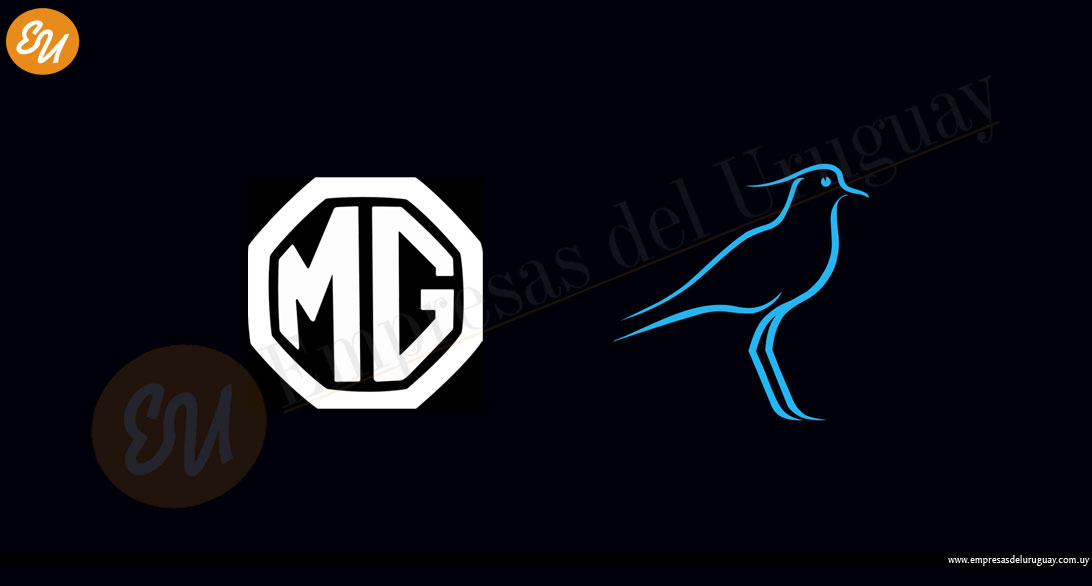 EmpresasdelUY's tweet photo. Los Teros ahora empujan más fuerte: MG, la emblemática marca automotriz, se incorporó como nuevo sponsor oficial

https://t.co/iAnLTyIOHI
@TerosXV #teros #mg #mguruguay #Rugby #rugbyuruguay https://t.co/SCMZnRbDCM