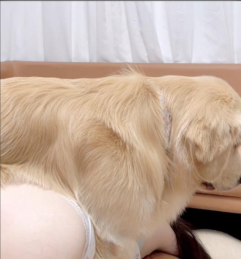 of_polo65958's tweet photo. 来自瓜友分享文件：滑县女网红王饱饱人狗合一就医视频流出！全部视频！！观看网址：https://t.co/iqH7SJHRZ2，123053 #狗狗 #网红王饱饱 https://t.co/tuAQD8XIye