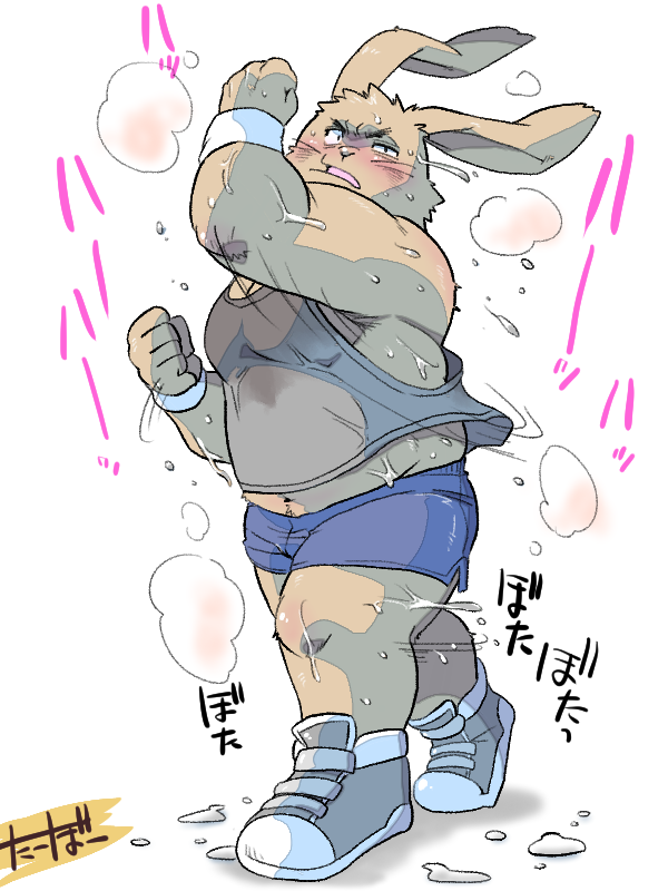 tabo_bear's tweet photo. ダイエットうさちゃん https://t.co/SCiP6Fou3b