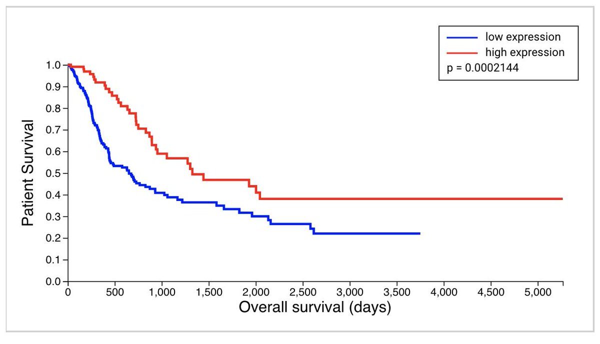 Survival analysis is a critical skill for bioinformaticians. Why? It helps stratify patients and identify potential biomarkers. 🧵👇