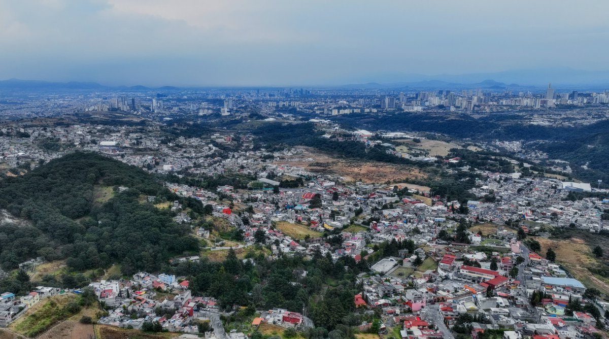 Romina Contreras tweet media