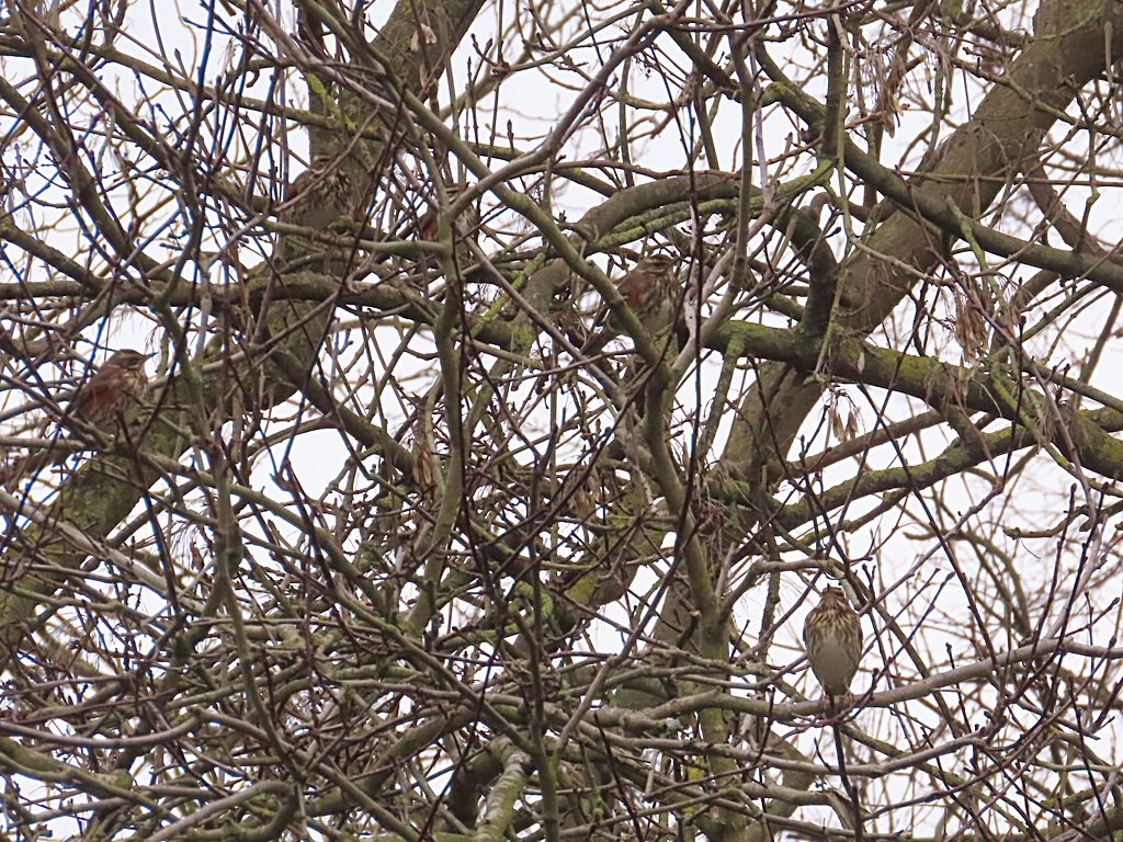 Nathalie Mahieu tweet media