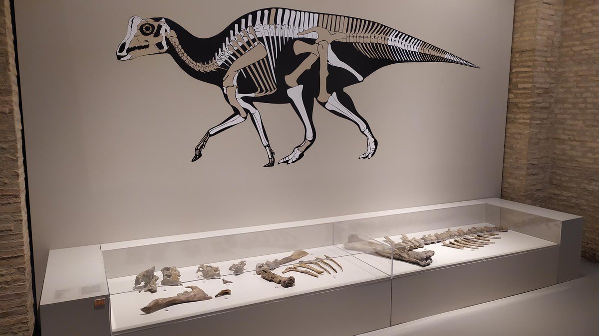 Turismo Graus tweet media