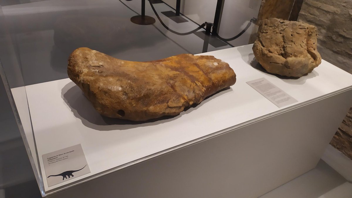 Turismo Graus tweet media