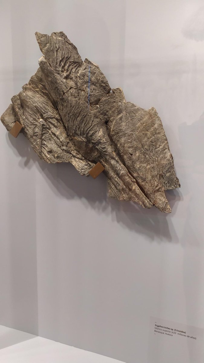 Turismo Graus tweet media