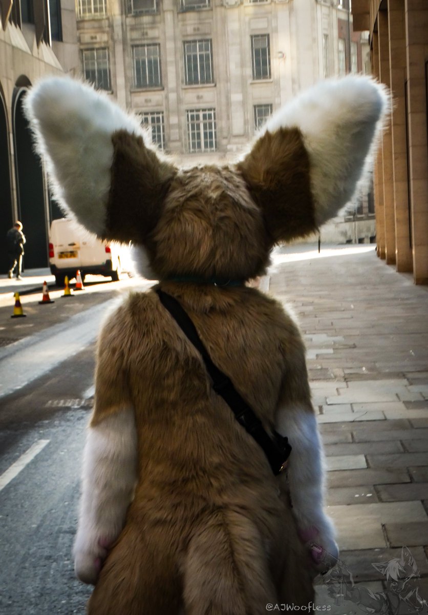 AJWoofless's tweet photo. @LondonFurs Photos 26/01/2025

2 weeks, better than last time :3

#Fursuit #Furries #Furmeet #Photography

View below:
https://t.co/WuXDN6LM6I https://t.co/96dnfo63oR