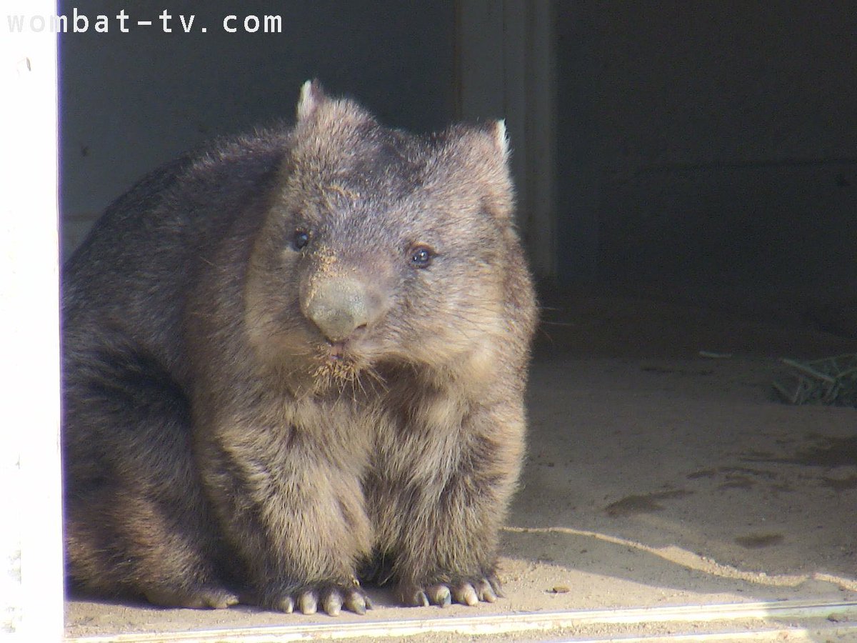 หวัดดีคับ