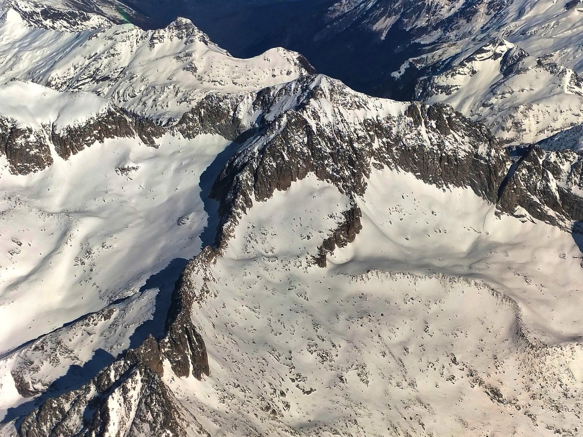 Melaine Le Roy tweet media