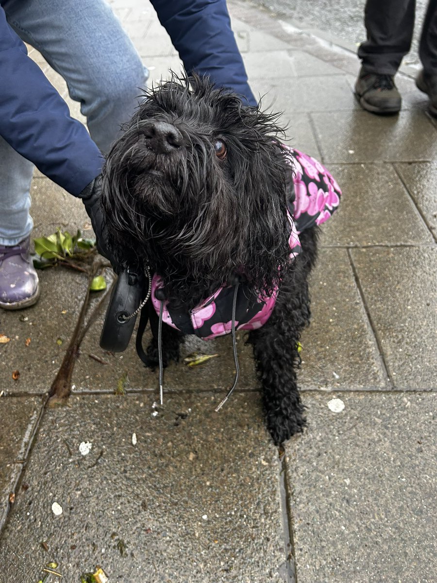 A lovely afternoon with Fiona and Juno in #westkirby ❤️🐕🙂