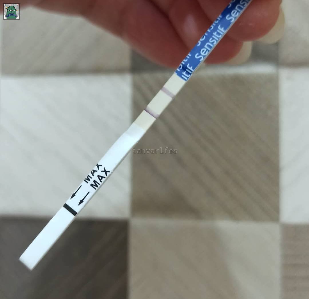 Tanyarlfes tweet media