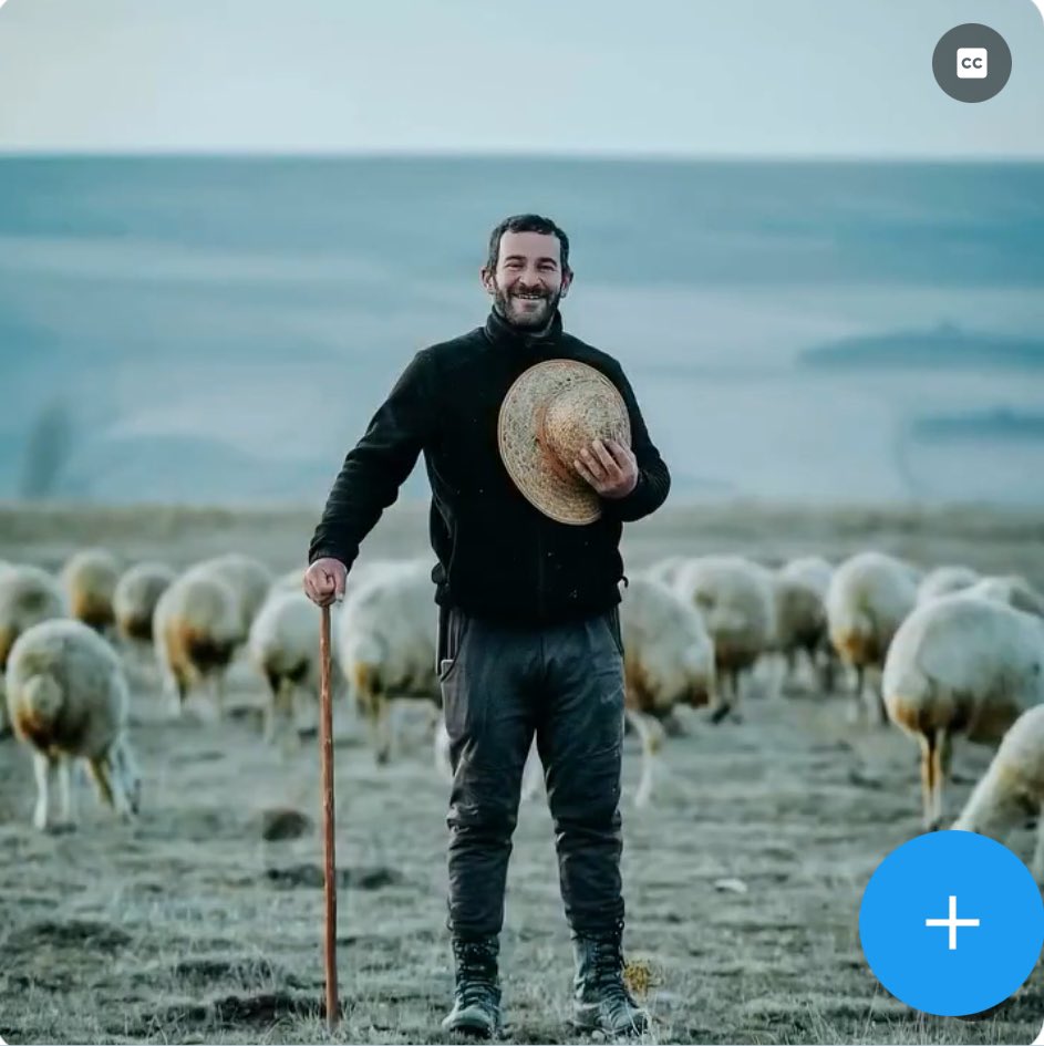 puanver's tweet photo. Ataması yapılmayan öğretmen çobanlık yapıyor.

İçinden neler geçiyor,neler söylemek istediğini çok iyi biliyor.

Ama her şeye rağmen fotoğrafa çevreye gülümseyerek bakar çünkü o bir öğretmen. https://t.co/UVIwxQzN9s