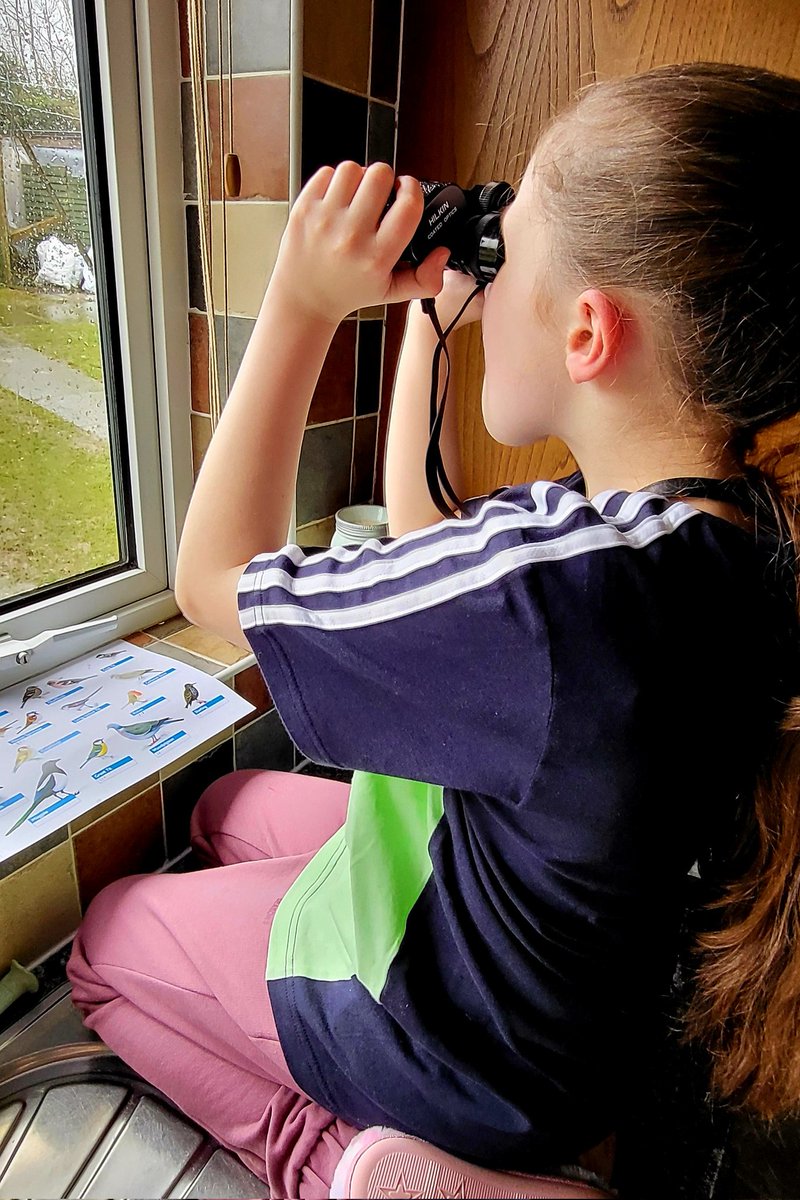 Alexis (10) taking part in the annual <a href="/RSPBNI/">RSPB NI</a> #BigGardenBirdwatch recording a total of 33 birds in the garden, within the hour #Rathfriland 😊