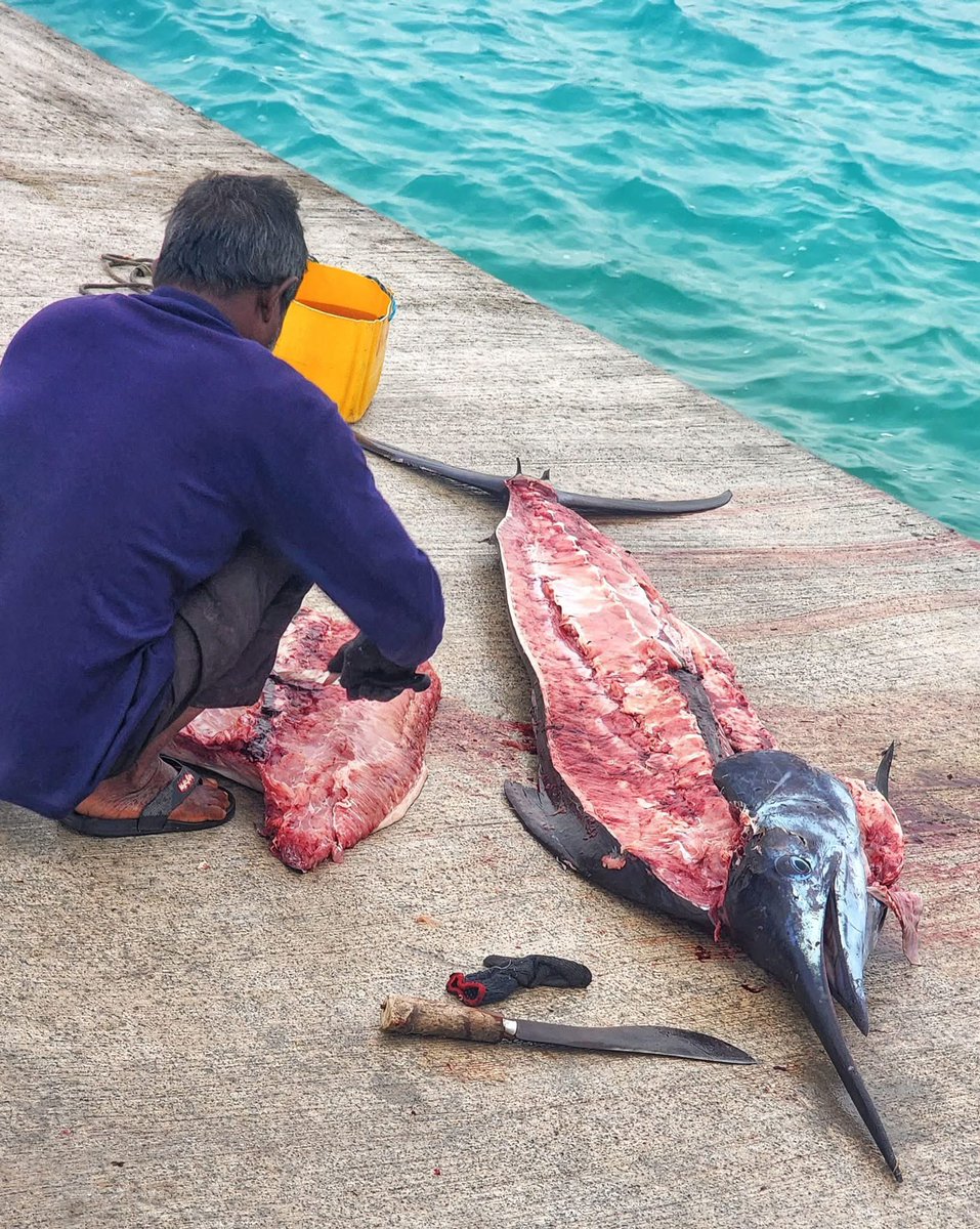 Falhuverin (@falhuverin) on Twitter photo 