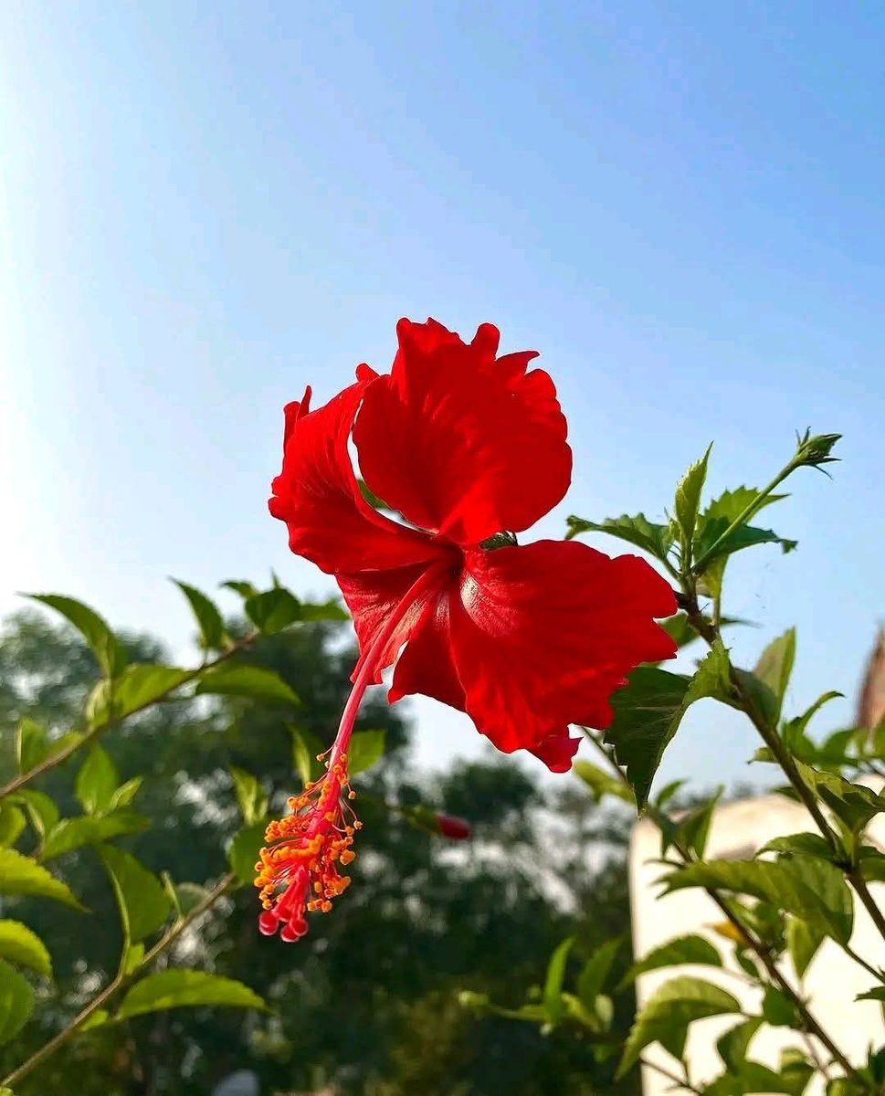 রেখে দাও না আমায় তোমার করে ,
আমি থাকতে চাই তোমার শহর জুড়ে 🌺