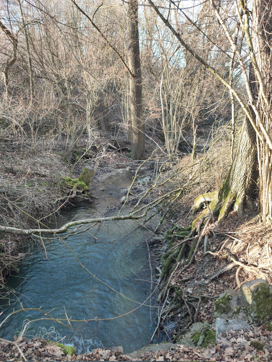 flummi1970's tweet photo. Heute war #Hundesitting angesagt, hat gut getan.
Bin aber total außer Puste, nach der Hardcore-Erkältung.
Laufen um einen #Stausee https://t.co/FjqTFSh0Gv