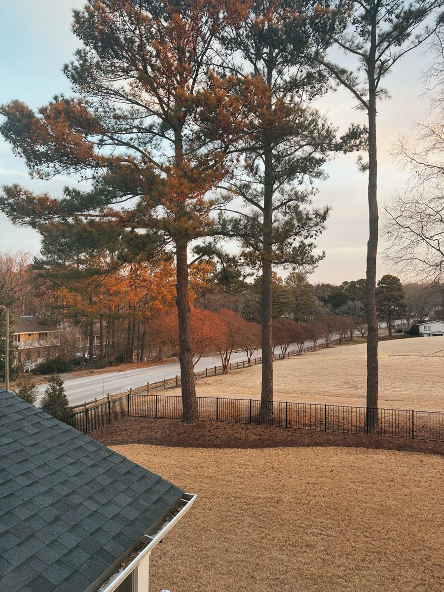 Marshall Haas 🏎 tweet media