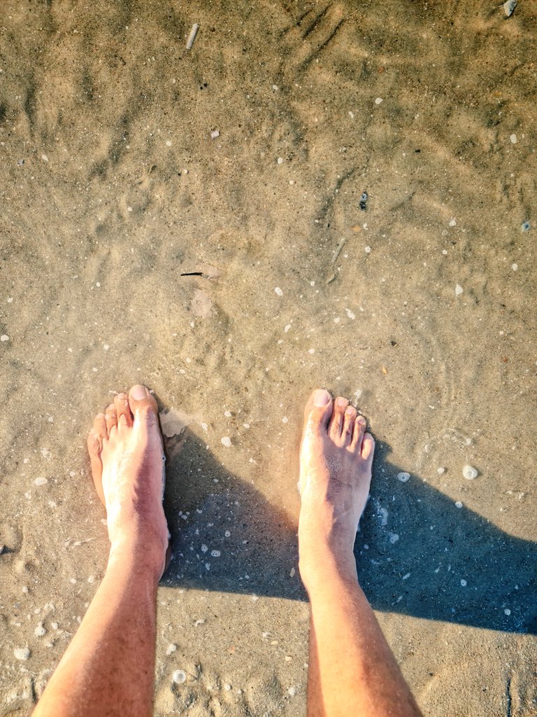 MaleFeetPleasu1's tweet photo. On vacation where my big Arab feet are bare I can see the eagerness and horny stolen glances that "men" give them. They lick their lips watching my soles. They just wish and dream of taking a sniff under my sweaty toes. 
@GemnasRosales @Rainbowfag03 @DedalusSub @FindomAlphaRT https://t.co/tU5N8IKIS3