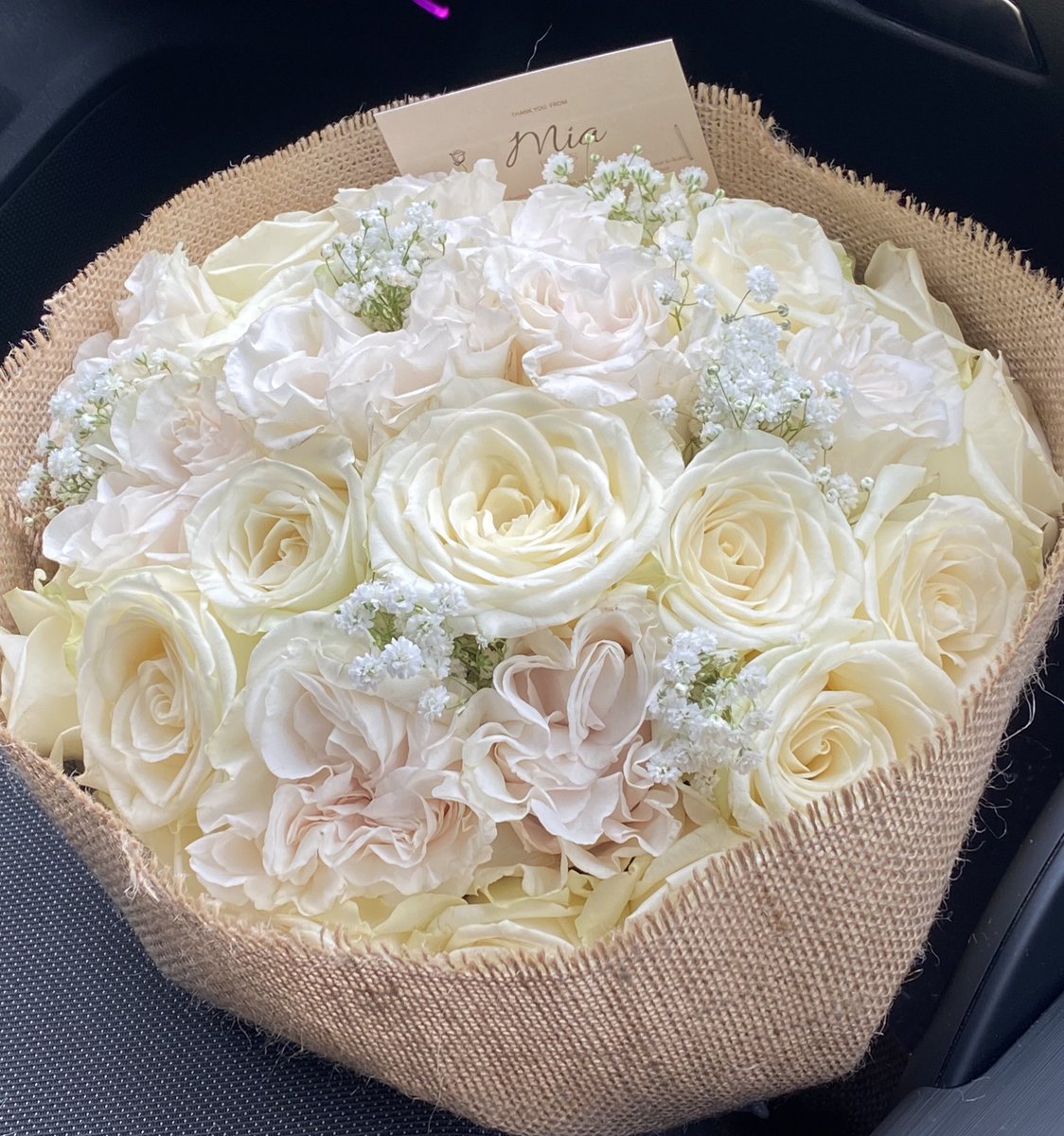 miablooms_'s tweet photo. For my white rose lovers 🤍🕊️ https://t.co/iN65IUDTiq