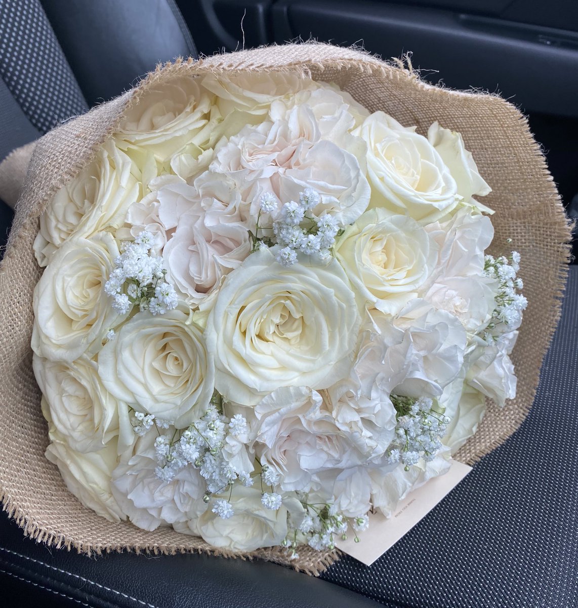 miablooms_'s tweet photo. For my white rose lovers 🤍🕊️ https://t.co/iN65IUDTiq