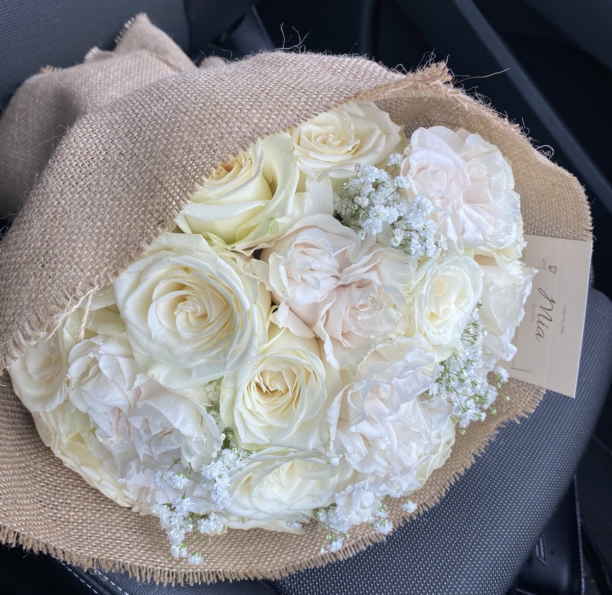 miablooms_'s tweet photo. For my white rose lovers 🤍🕊️ https://t.co/iN65IUDTiq