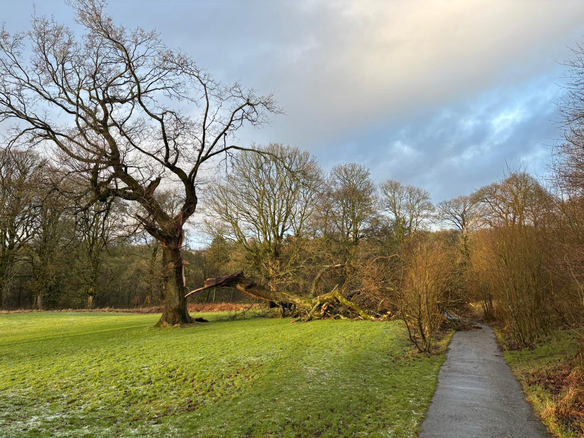 Prof Bob Davis tweet media