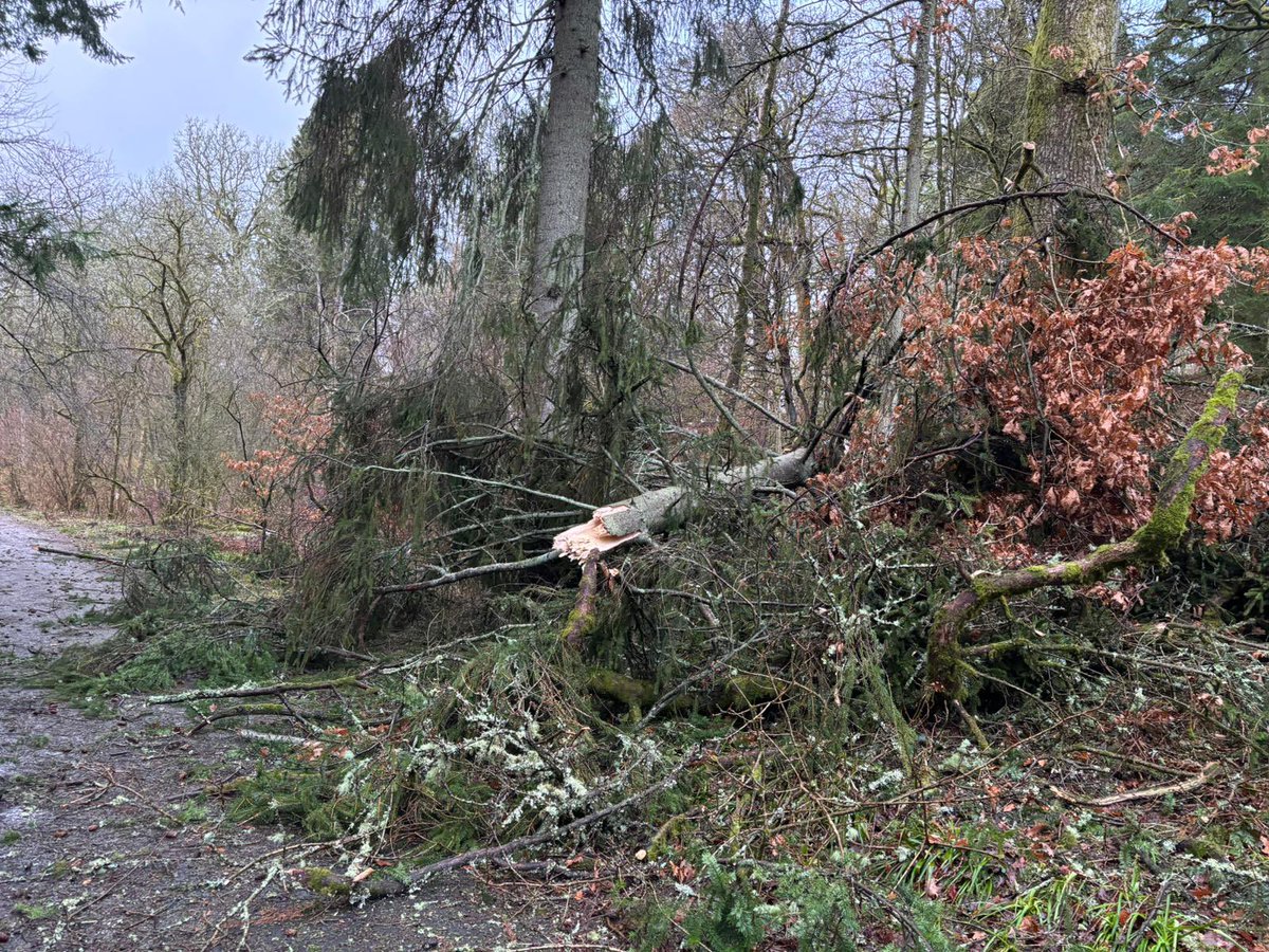 Prof Bob Davis tweet media