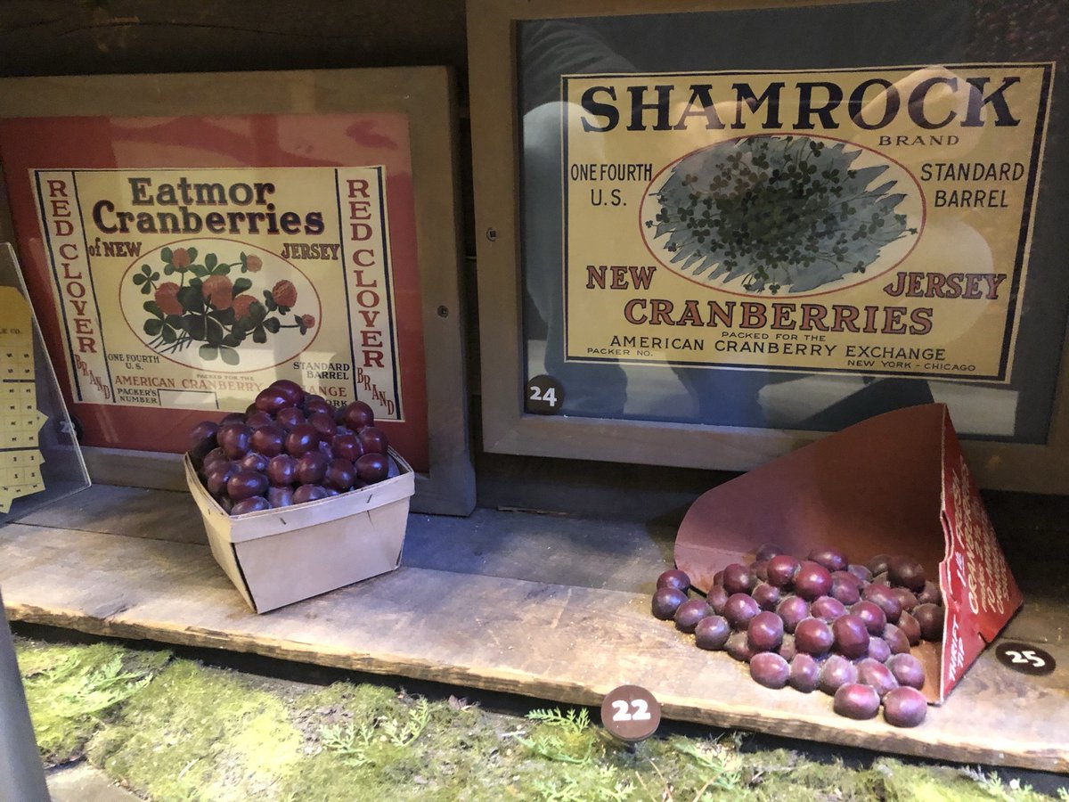 The 36th annual Pinelands Short Course boasts 37 presentations, including a program entitled “Cranberry Farm Lost and Found.” Tap here for info and to register:

nj.gov/pinelands/home…