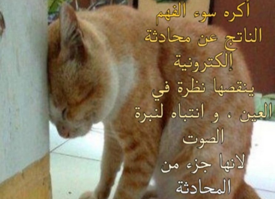 meow9my's tweet photo. https://t.co/0J1wlC4XXU