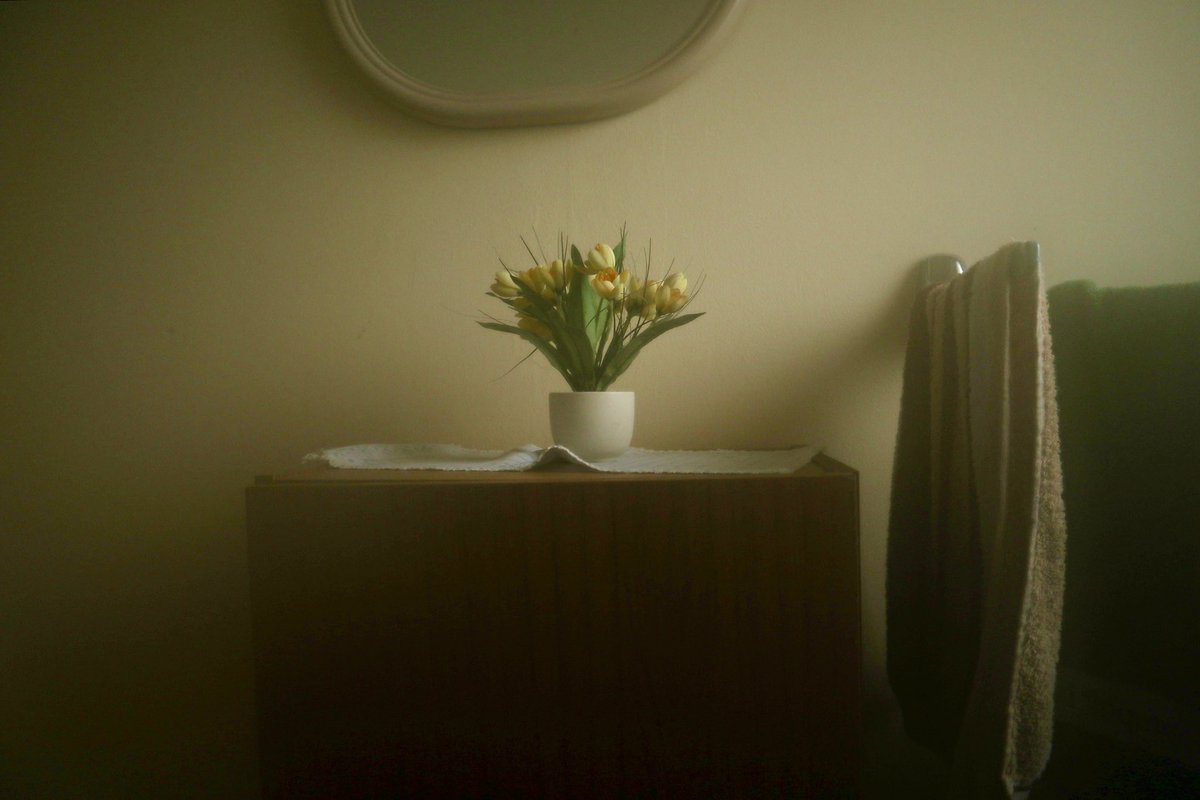 Emely Timm tweet media