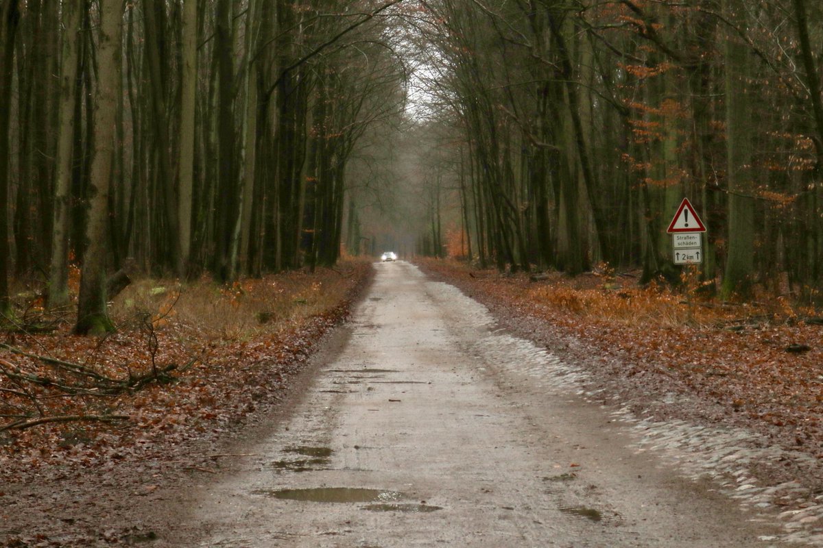 Emely Timm tweet media